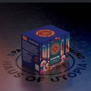 Buy Bonfire online | Haus of utopia online