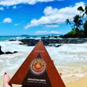 Buy Chocolate Milk Cookies