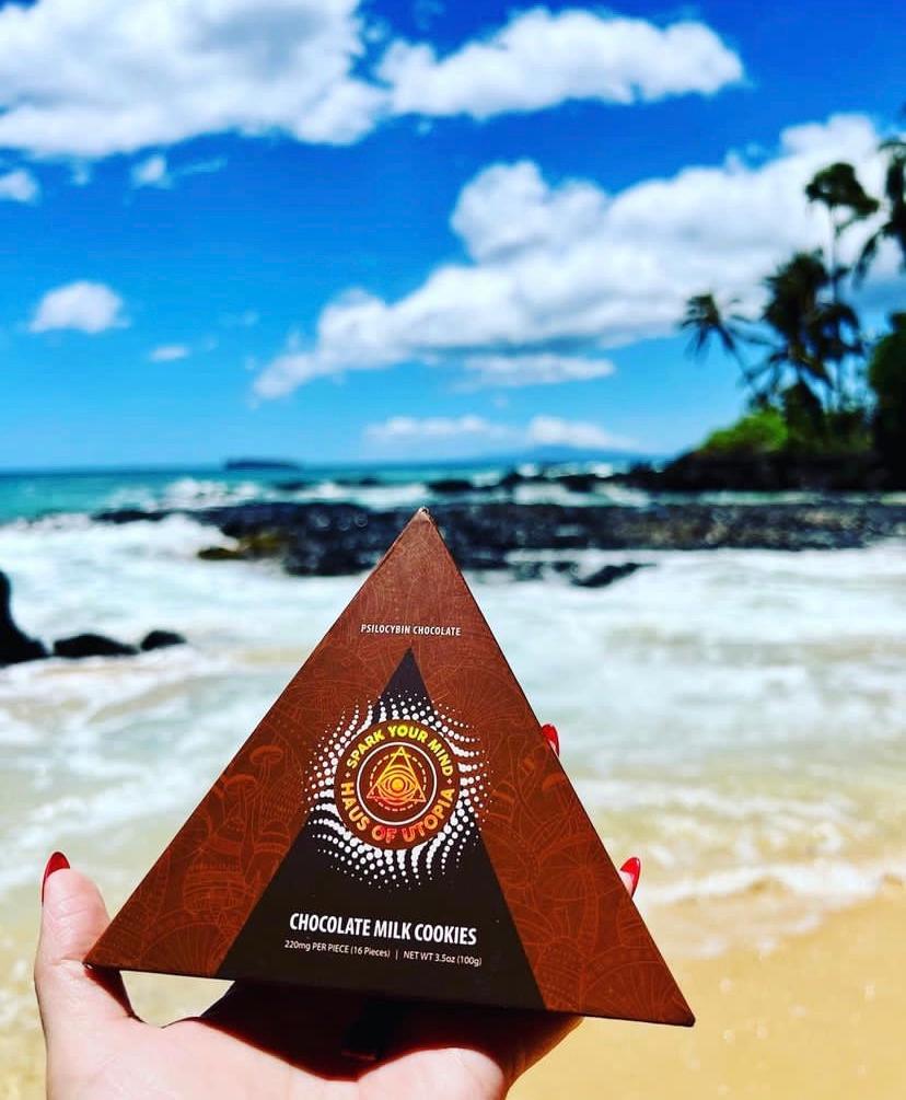 Buy Chocolate Milk Cookies