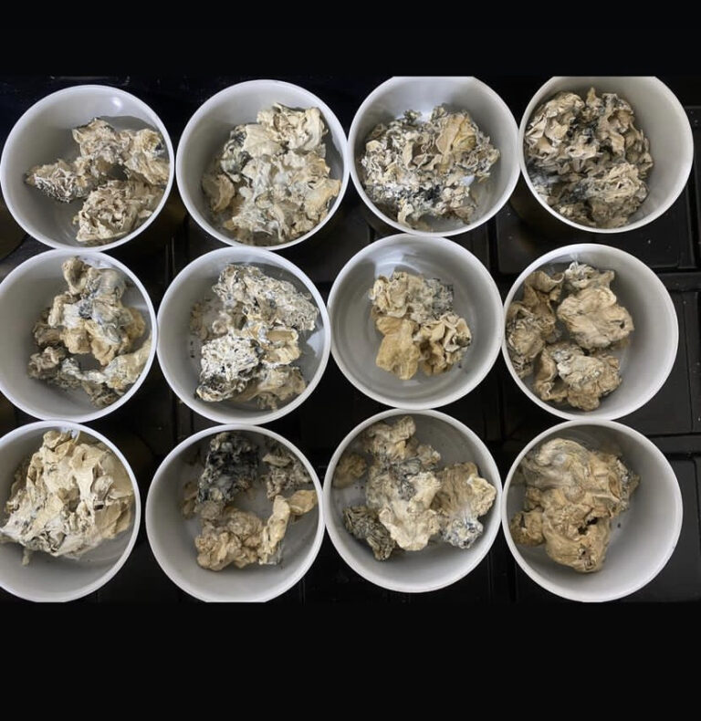 Haus of Utopia Chocolate benefits and effects