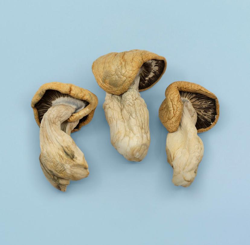 Benefits of magic mushroom bars