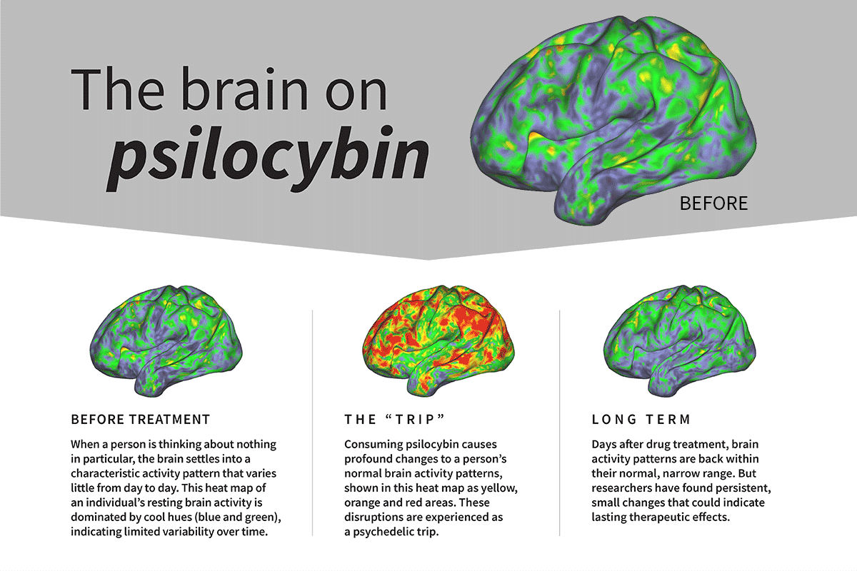 Health benefits of psilocybin.