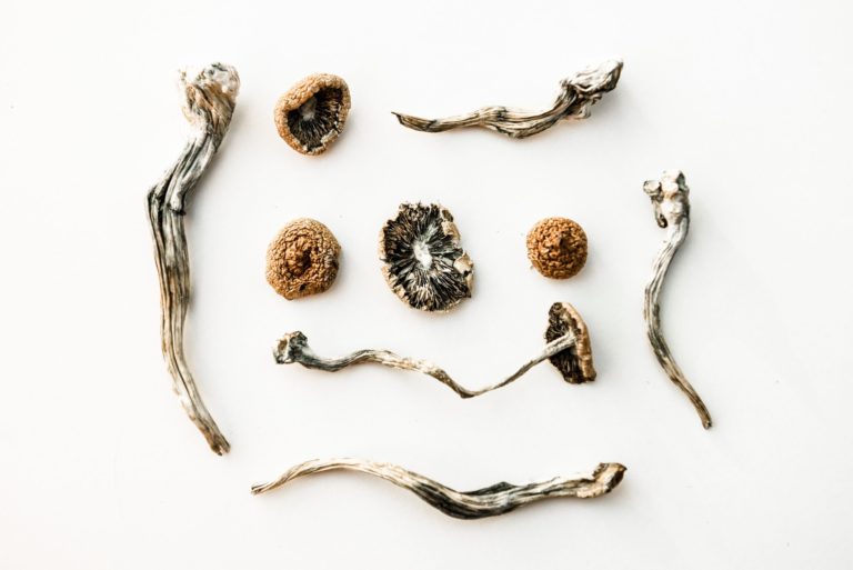 Buy Magic Mushrooms Online