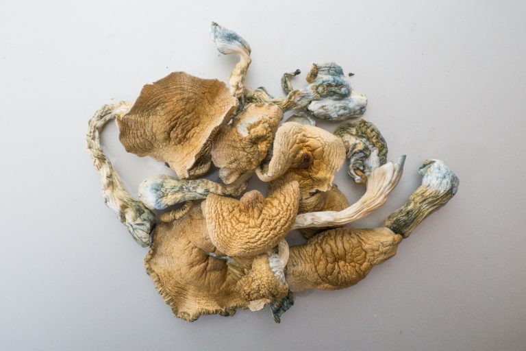 Top 8 Benefits of Shrooms