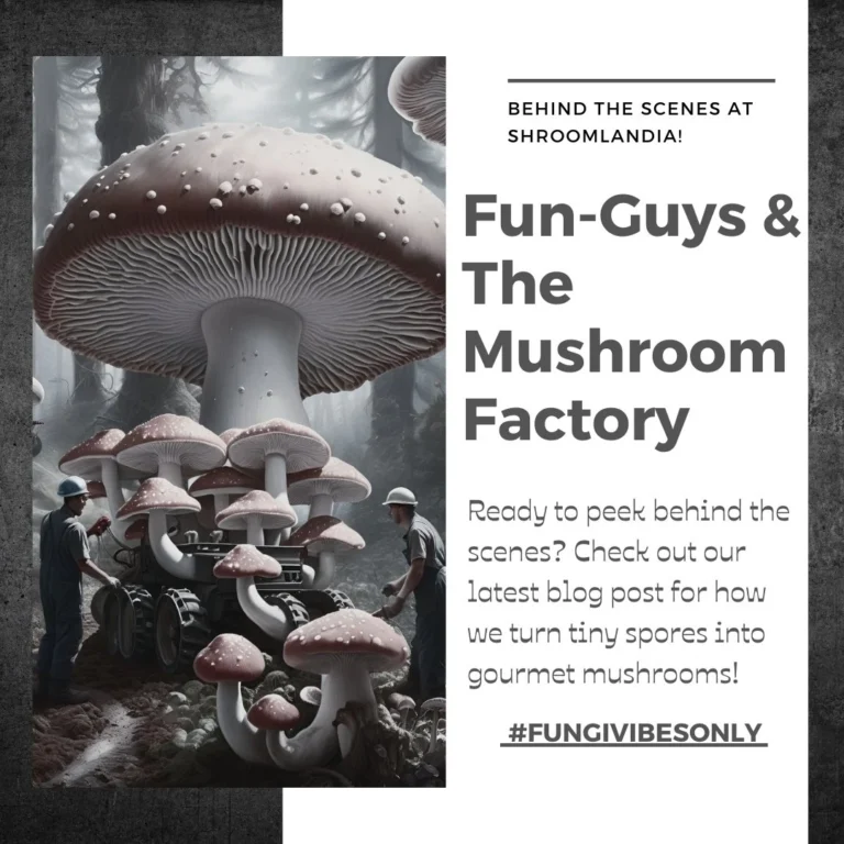 The Mushroom Factory