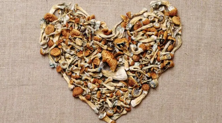 Most Potent Magic Mushroom Strains