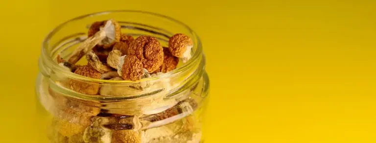 How to Grow Magic Mushrooms at Home?