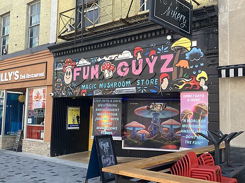 Legal status of psilocybin mushrooms