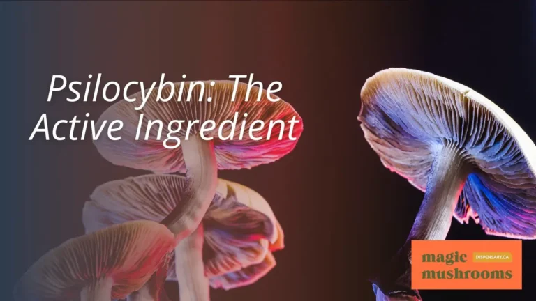 Mushrooms That Cause Hallucinations