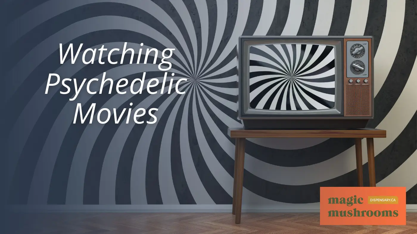 23 Things to Do While on Mushrooms