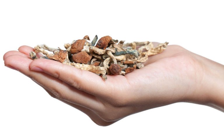 What’s the Legal Status of Magic Mushrooms and How Does It Affect You?