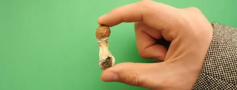 Things To Know Before Trying Magic Mushrooms For The First Time