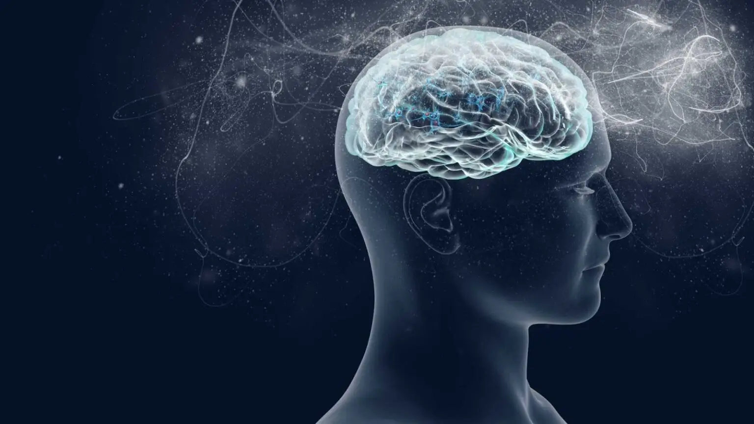 Exploring the Potential Benefits of Magic Mushrooms for Brain Injuries