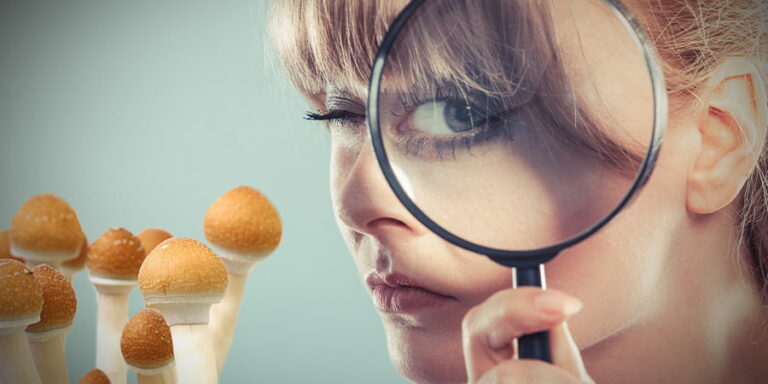 Using Magic Mushrooms for Self Improvement