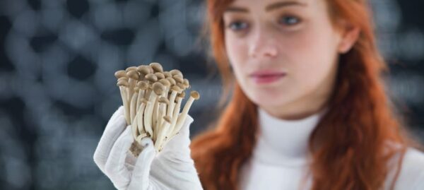 Therapeutic Magic Mushroom Strains You Should Know About