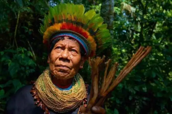 Shamanism and The Role of Magic Mushrooms in Practice