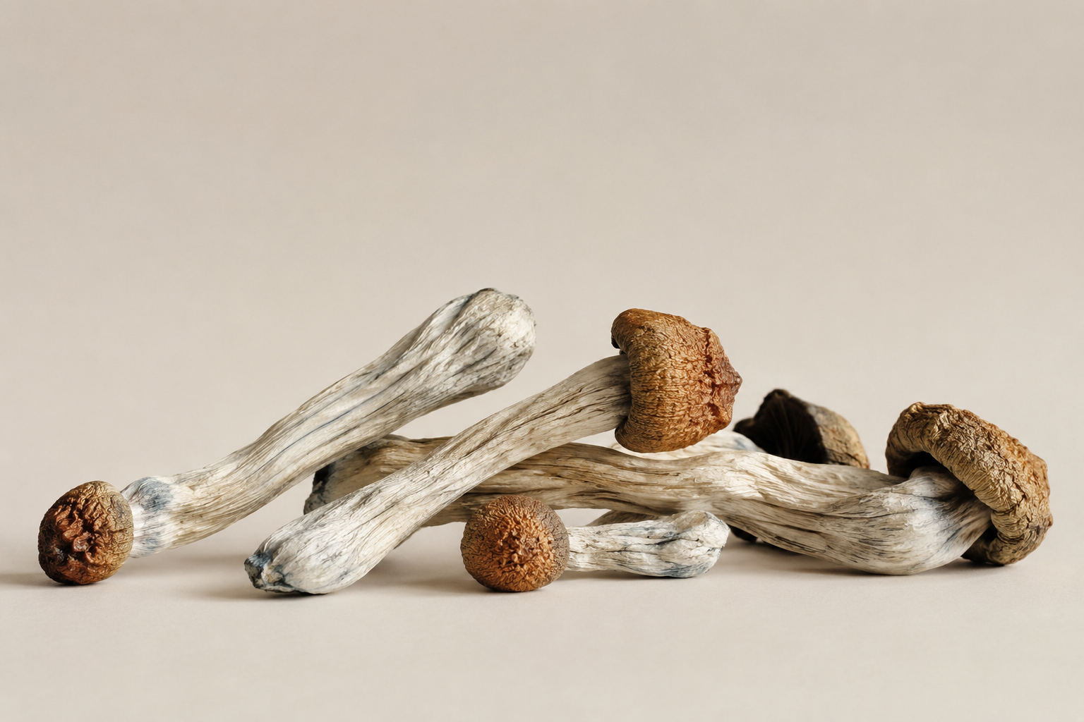 Psilocybin