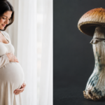 Is It Safe To Take Mushrooms During Pregnancy?