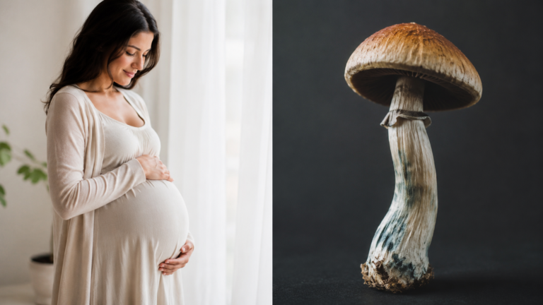 Is It Safe To Take Mushrooms During Pregnancy?