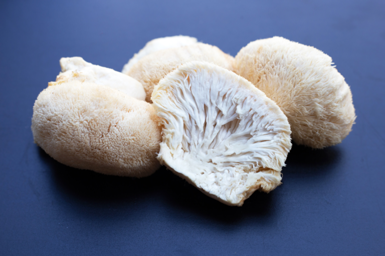 Lion’s Mane Extract Reduced Alzheimer’s Symptoms In Mice Symptoms In Mice There is no shortage of Lion’s Mane hype. Most of it centres